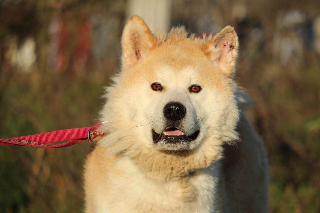 Puschel sucht sein eigenes Zuhause!