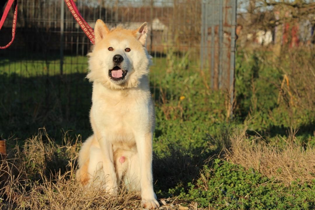 Puschel sucht sein eigenes Zuhause!