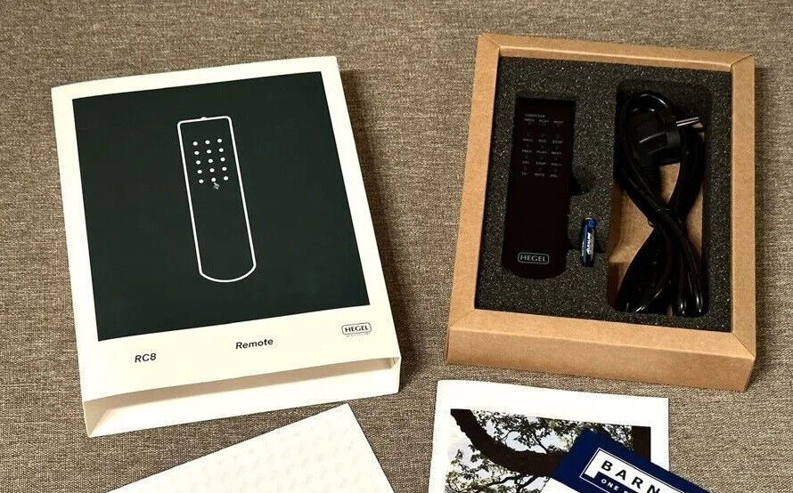 Hegel H590 Verstärker