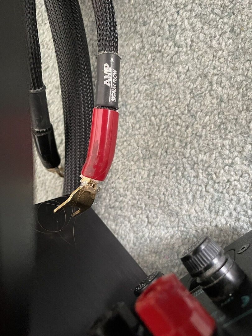 Spectral DMA-150 S2 + DMC 30S Verstärker