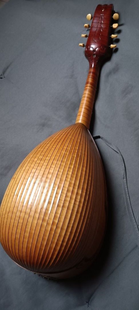 Italienische Mandoline von Raffaele Calace aus dem Jahr 1955