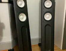 RAIDHO ACOUSTICS C2.2