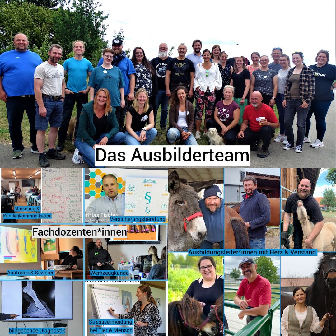 Werde Huforthopäde*in