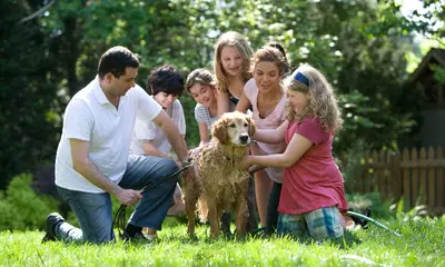 Familienhund