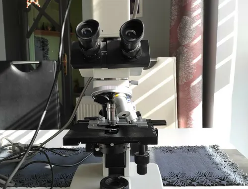 Dunkelfeldmikroskop Hund H600 LL HP 100