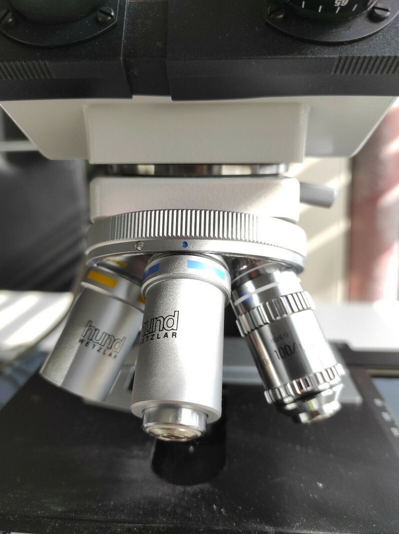 Dunkelfeldmikroskop Hund H600 LL HP 100