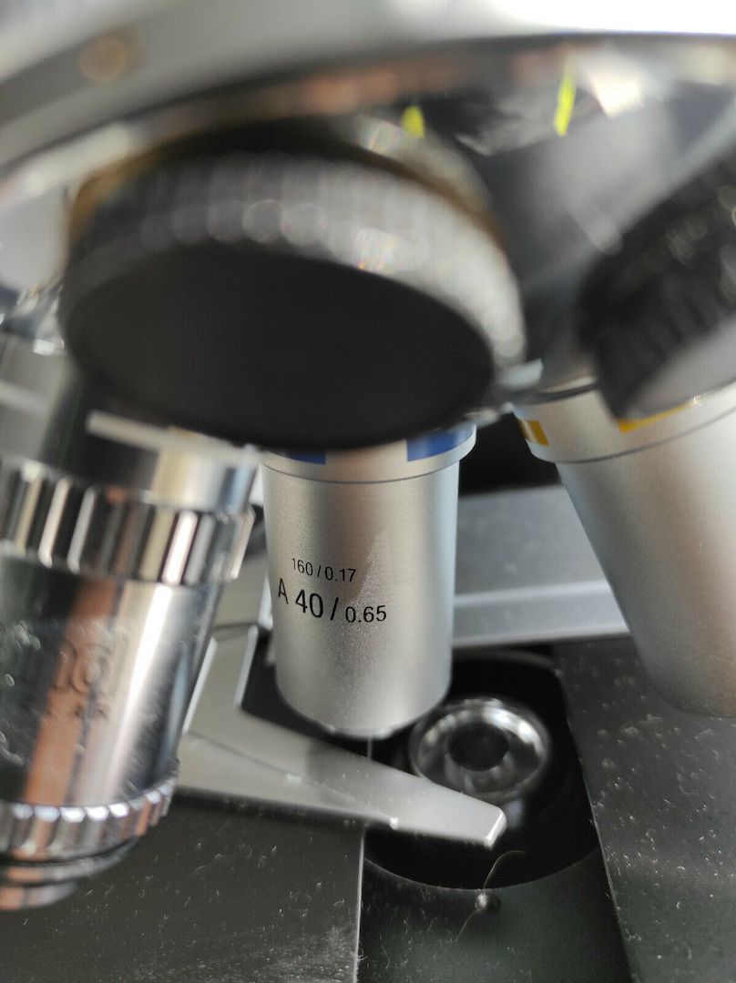 Dunkelfeldmikroskop Hund H600 LL HP 100