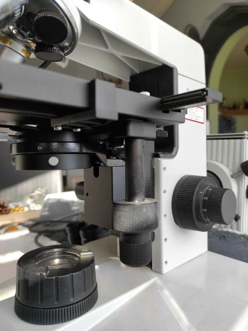 Dunkelfeldmikroskop Hund H600 LL HP 100