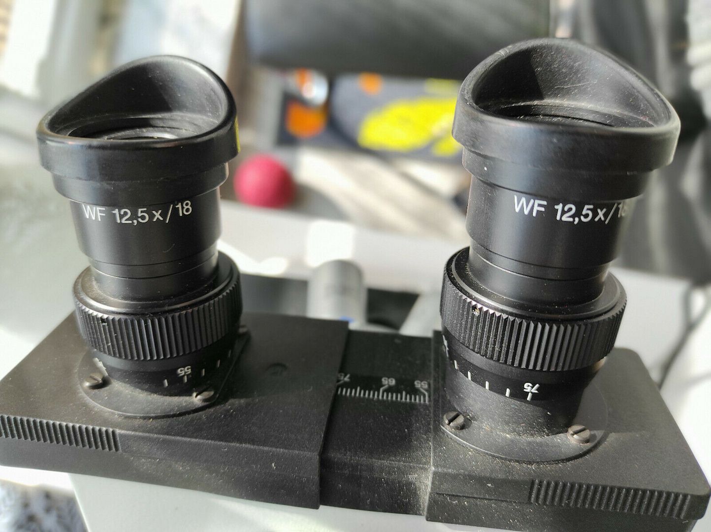 Dunkelfeldmikroskop Hund H600 LL HP 100