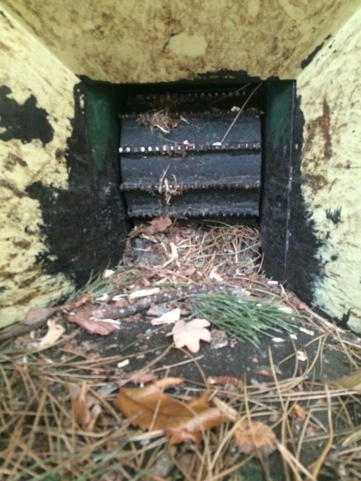 SchredderHäcksler Combo von Negri, Chipper C16, Top Zustand