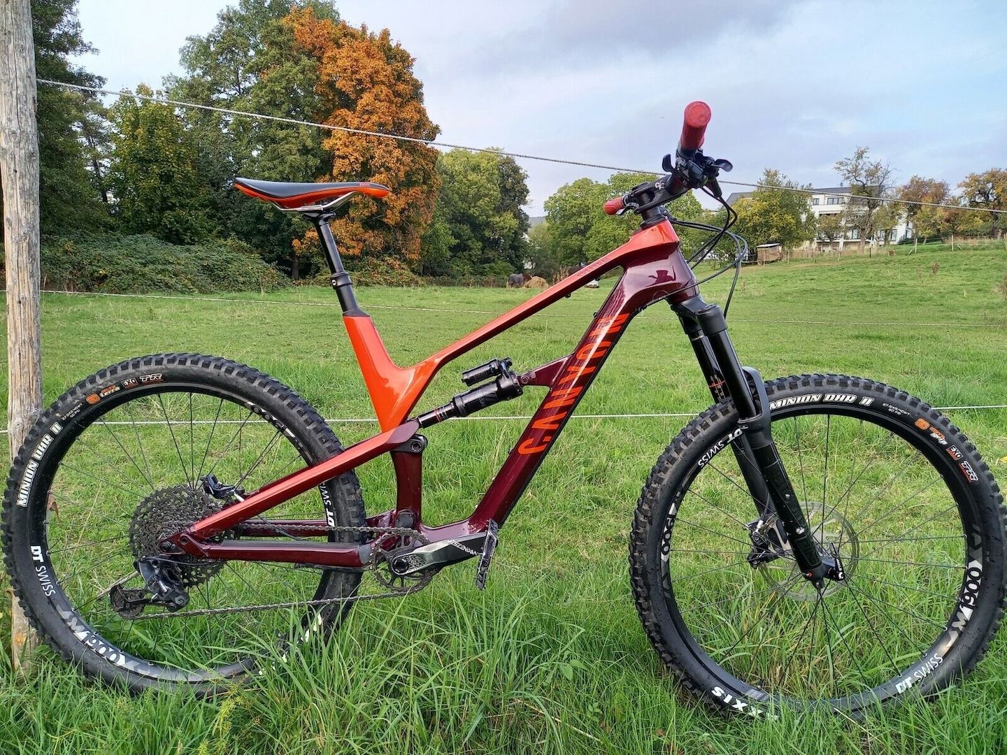 Canyon Spectral CF 7.0 *Top Zustand* L Carbon Fully