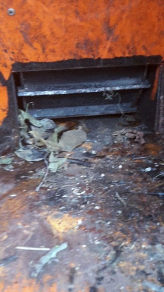 BearCat Schredder Holzhacker Holzhäcksler Häcksler Kubota Vermeer Schliesing