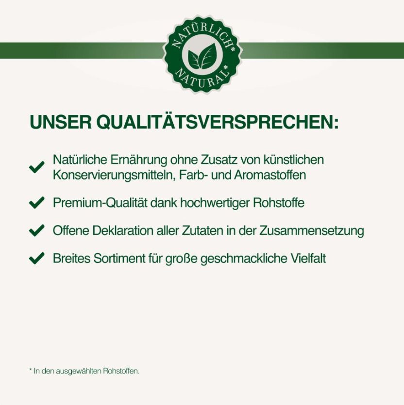 Velvet Vistas Champions: ASAMI Diamonds Bengalkitten kommen!