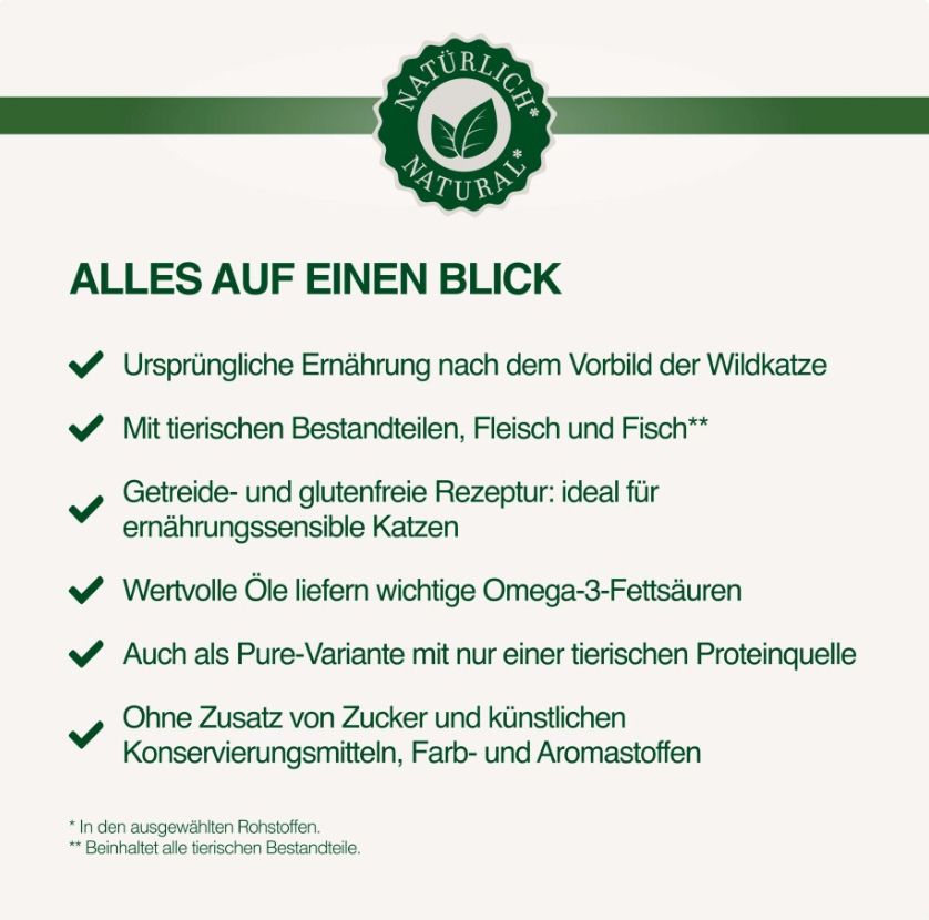 Velvet Vistas Champions: ASAMI Diamonds Bengalkitten kommen!