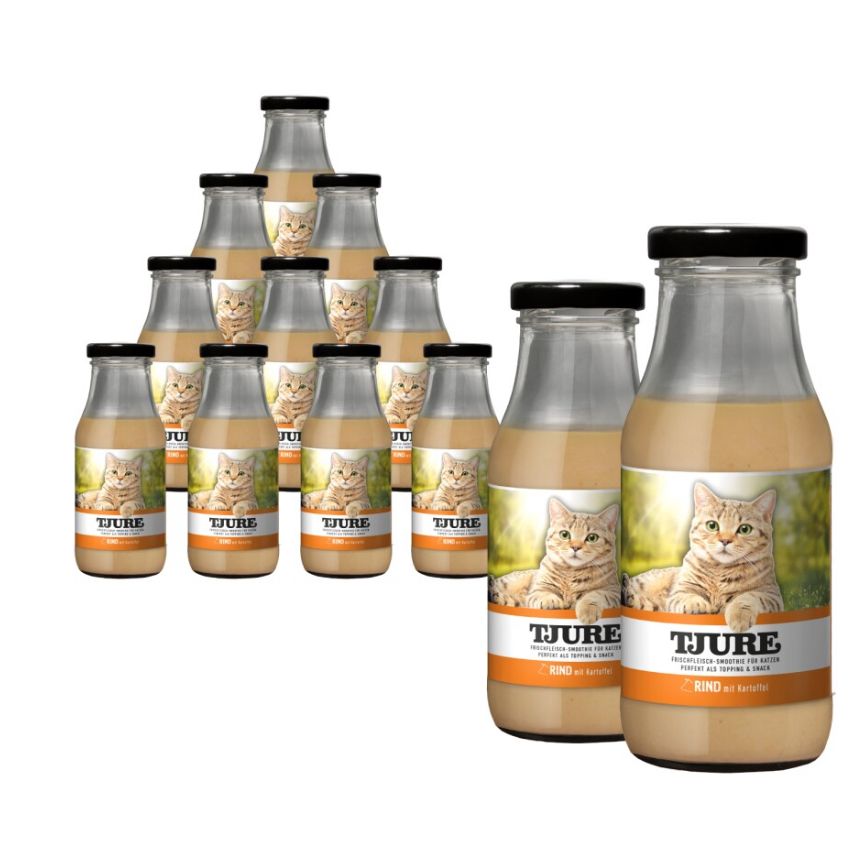 Velvet Vistas Champions: ASAMI Diamonds Bengalkitten kommen!