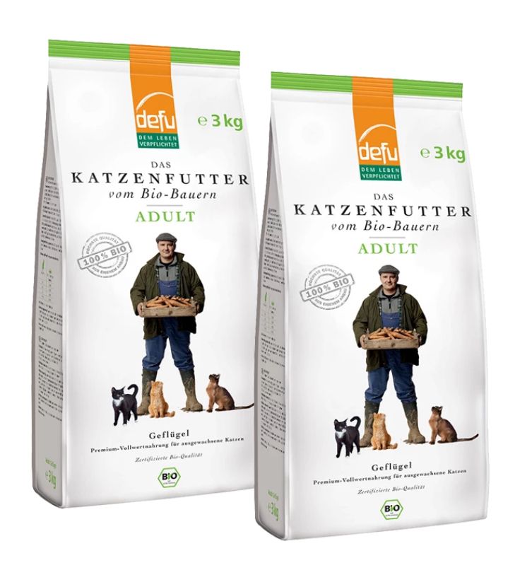 Velvet Vistas Champions: ASAMI Diamonds Bengalkitten kommen!