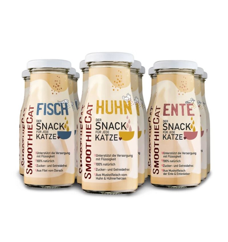 Velvet Vistas Champions: ASAMI Diamonds Bengalkitten kommen!