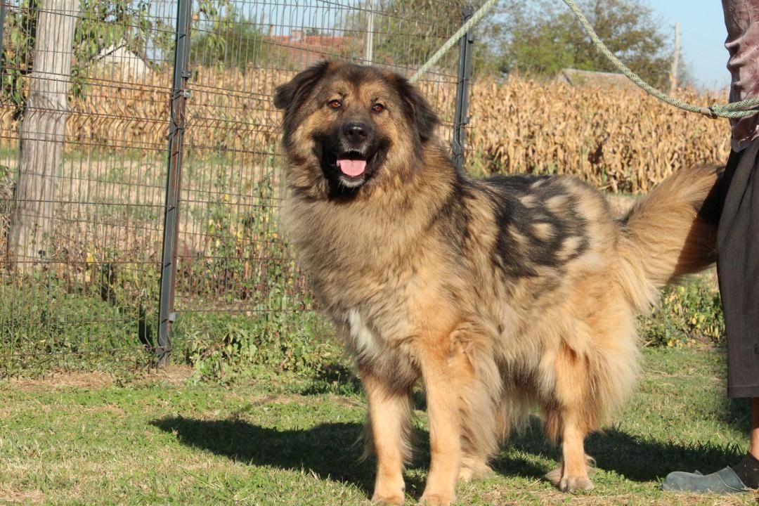 Elayne sucht liebe, aber erfahrene Hände!