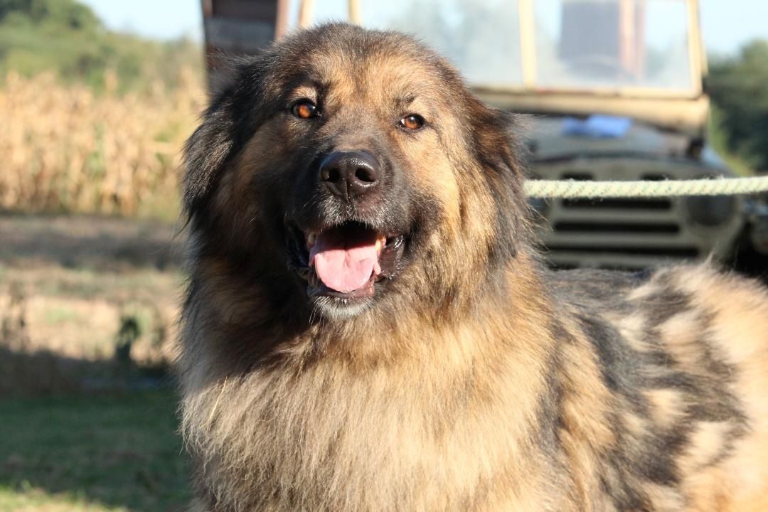 Elayne sucht liebe, aber erfahrene Hände!