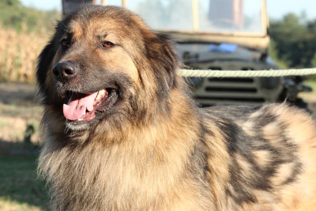 Elayne sucht liebe, aber erfahrene Hände!