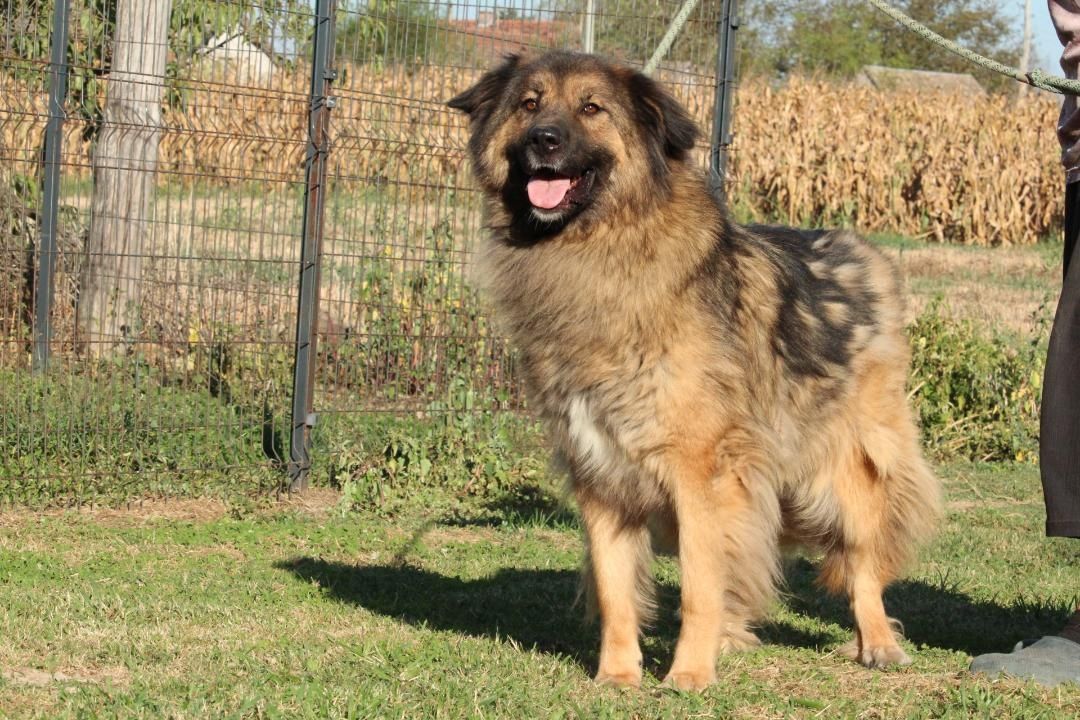 Elayne sucht liebe, aber erfahrene Hände!