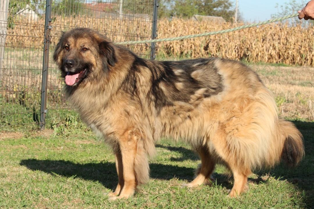 Elayne sucht liebe, aber erfahrene Hände!