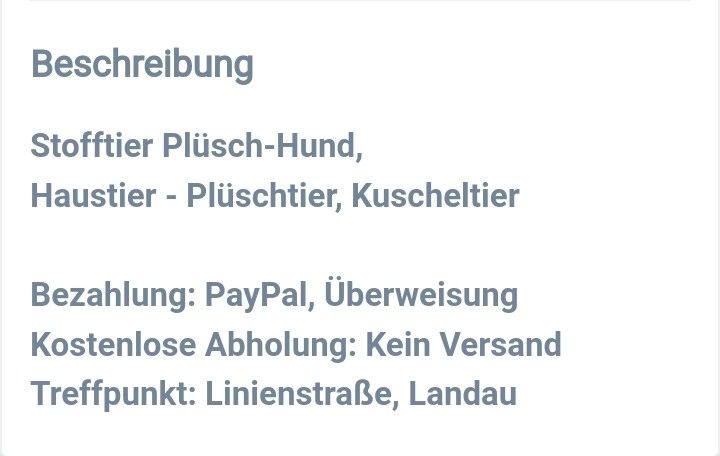 Bernhardiner Welpe-Hund