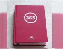 365 - Das Buch