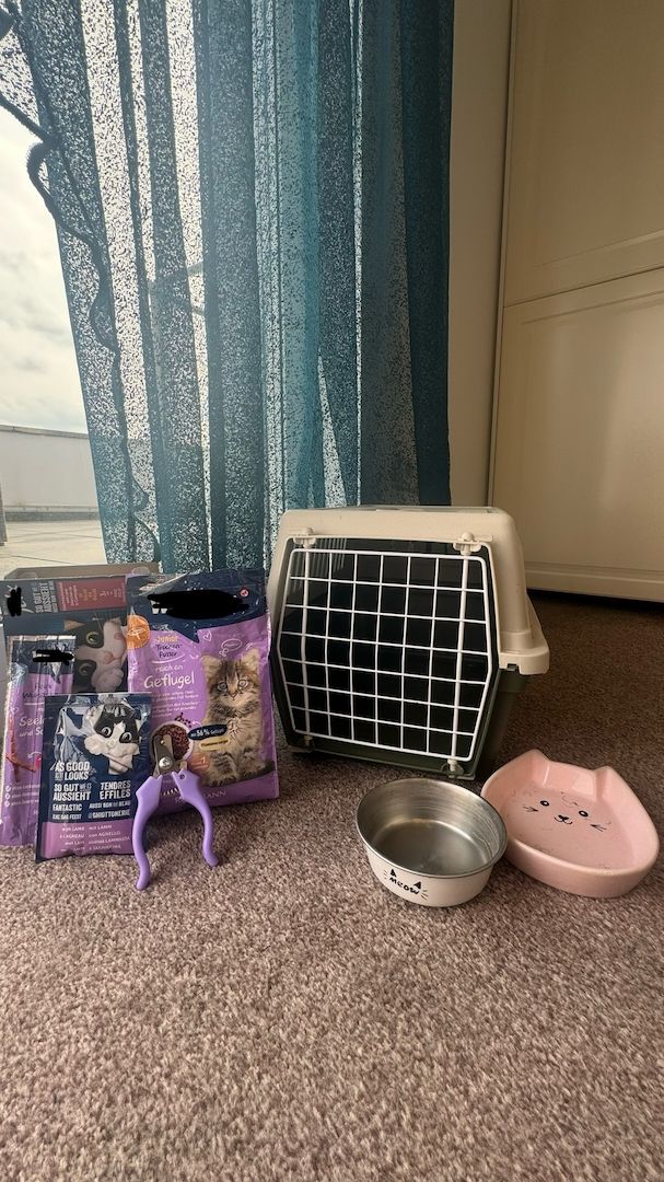 Simon sucht ein neues Zuhause