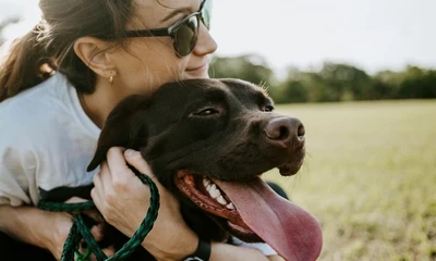 Top 10 Hunderassen für Anfänger: Ihr leichter Einstieg ins Hundeglück