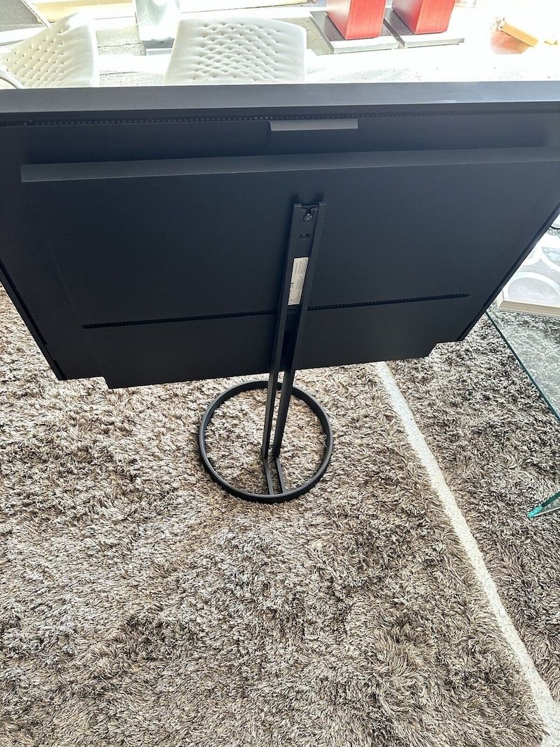 Bang & Olufsen Beovision Horizon 48 Neues Panel