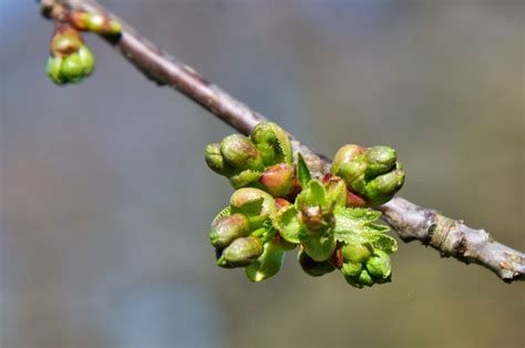 Suche Kontakte mit besonderer Sexualität