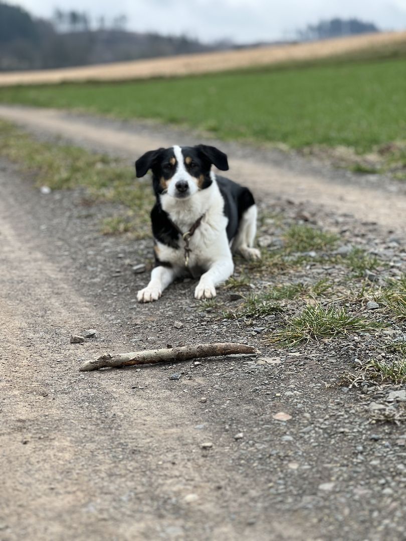 Luna sucht ein neues Zuhause