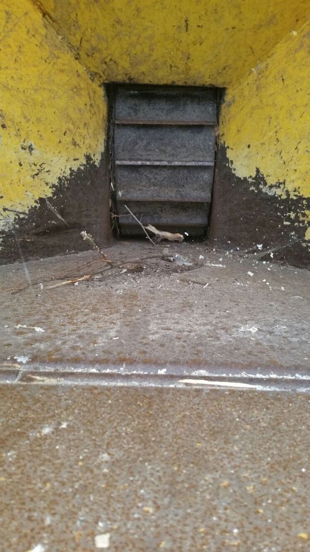 Vermeer 935 I Häcksler, Hacker, Holzhäcksler 50 PS Diesel