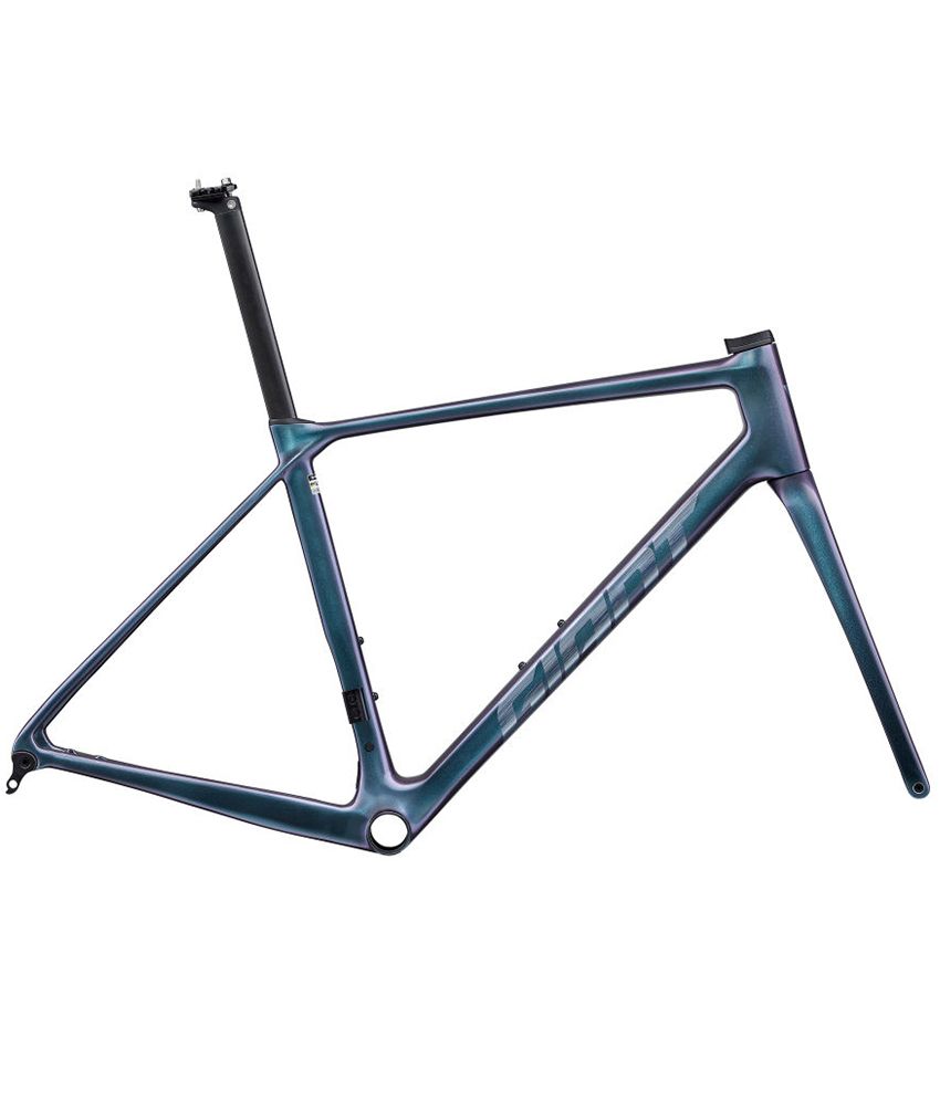 2025 Giant TCR Advanced Pro Frameset (ALANBIKESHOP)