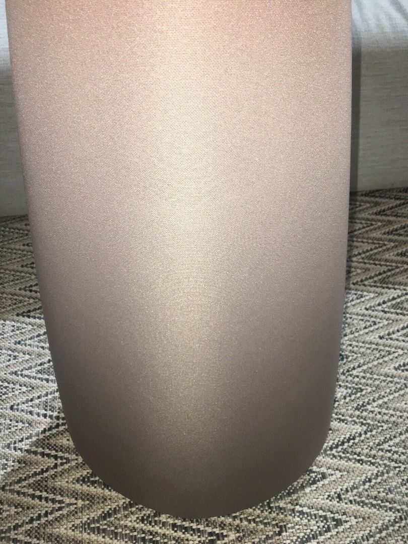 Bang & Olufsen BeoLab 20 MK 2 driftwood beige