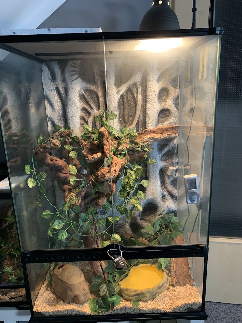 Exo Terra Terrarium