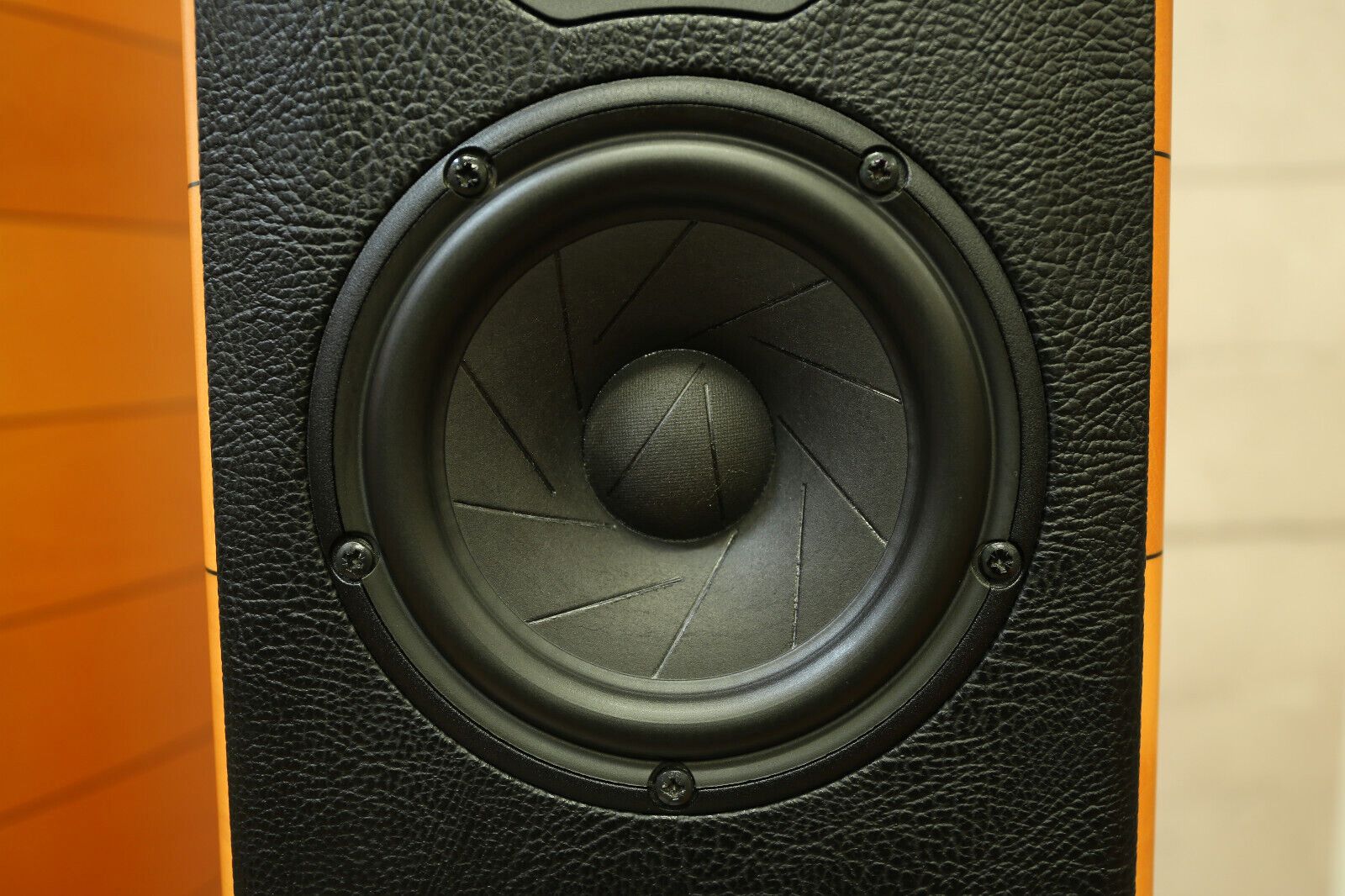 2 x Sonus Faber Cremona Traum-Lautsprecher