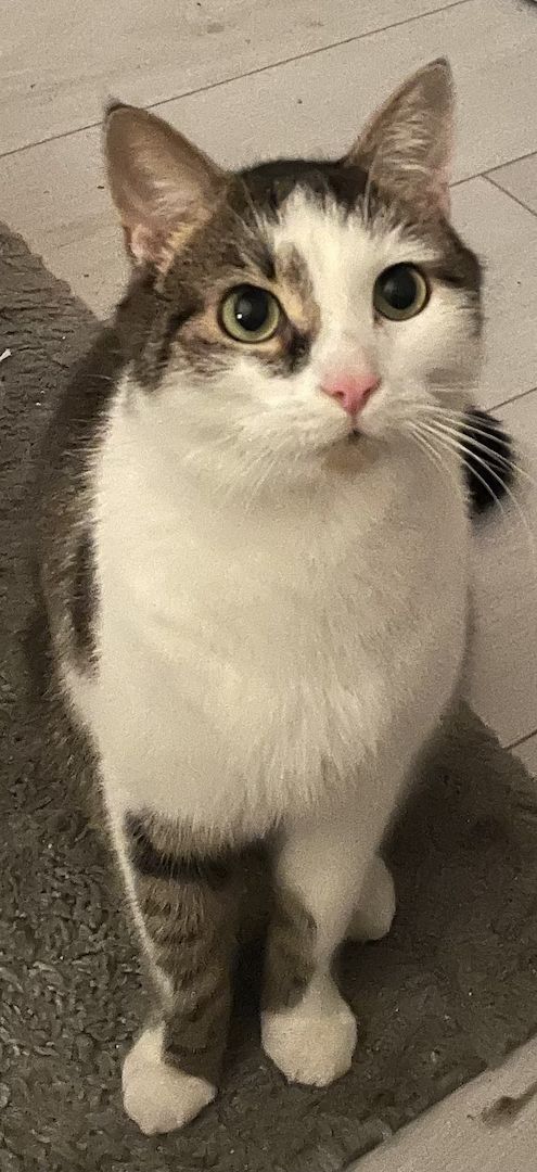 2 EKH Geschwister (männlich, weiblich), beide 3 Jahre alt