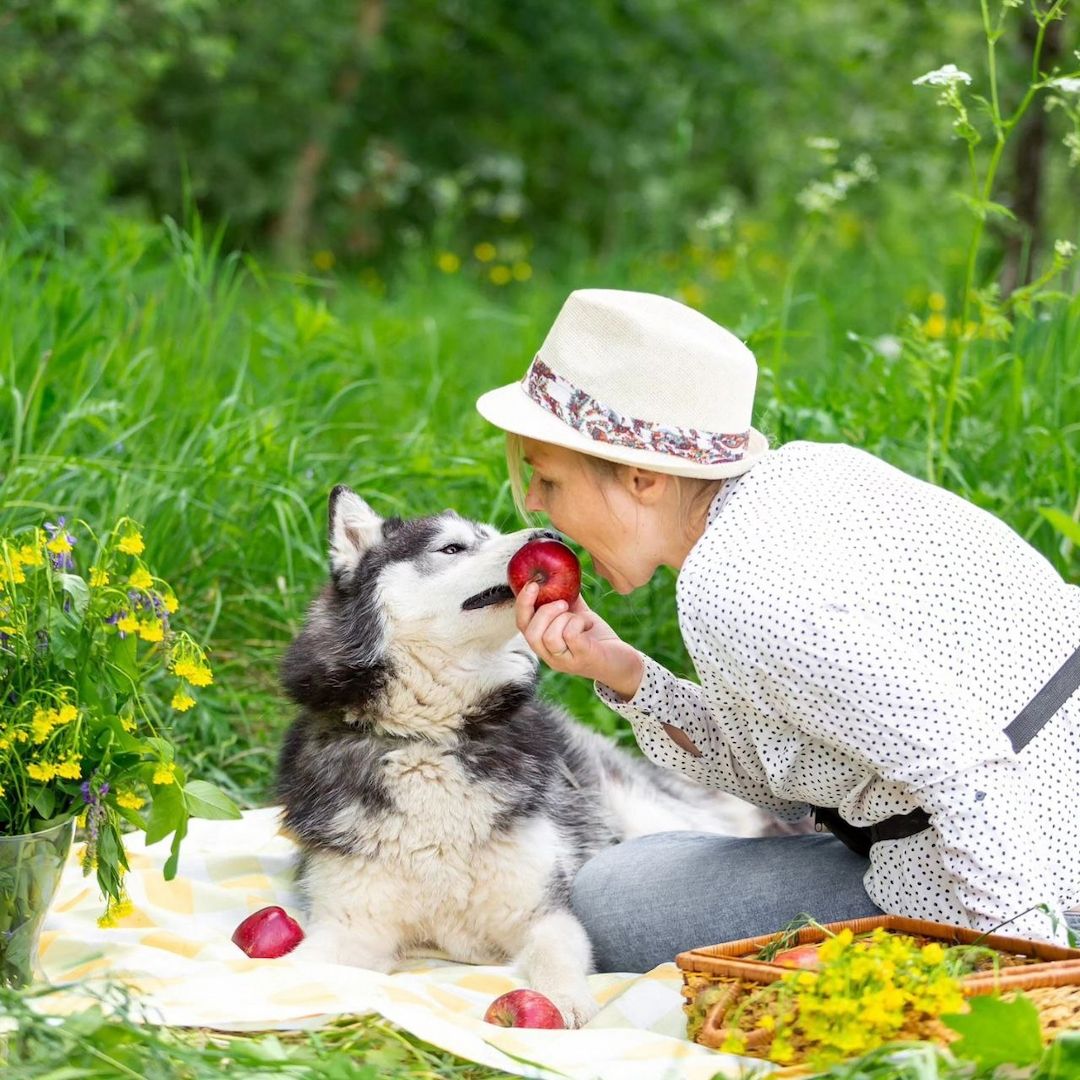 Der hübsche Arnie sucht ein Zuhause!