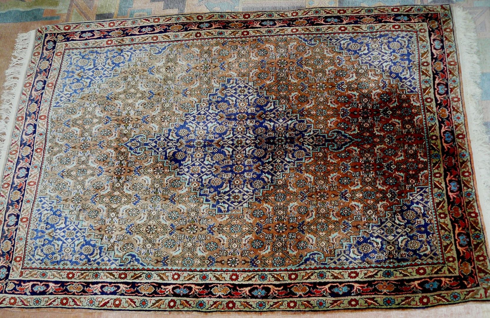 Sammlerteppich Bidjar antik 180x118 T140