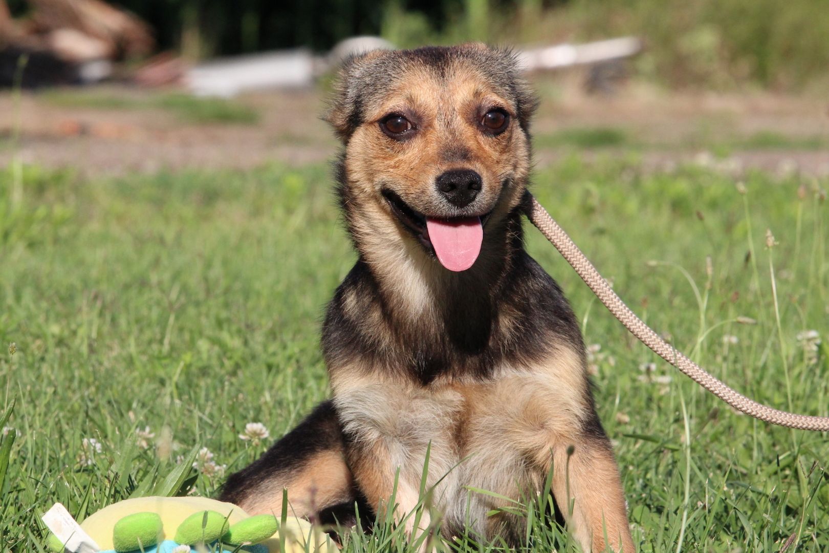 Lena unsere kleine Schönheit...