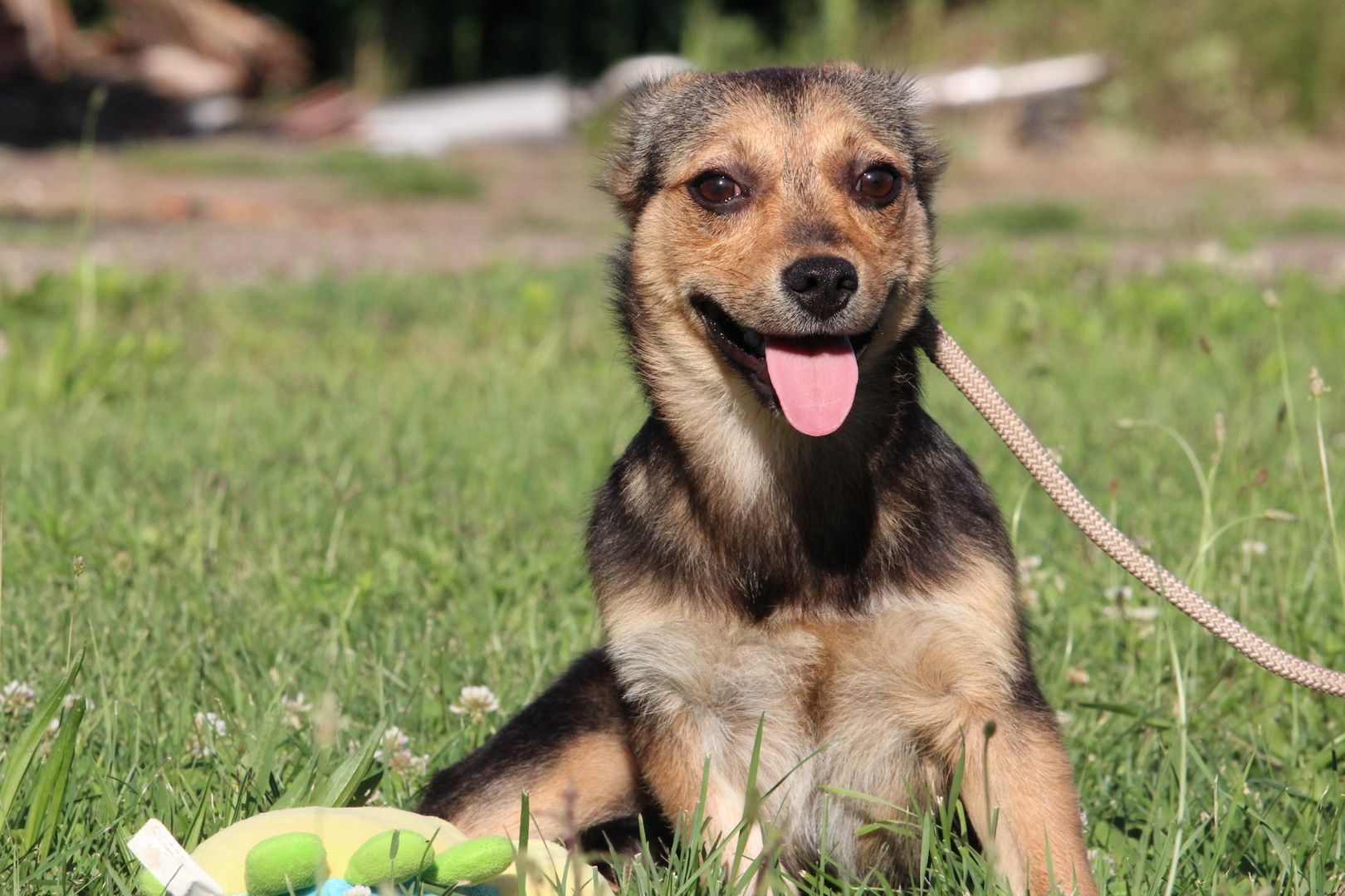 Lena unsere kleine Schönheit...