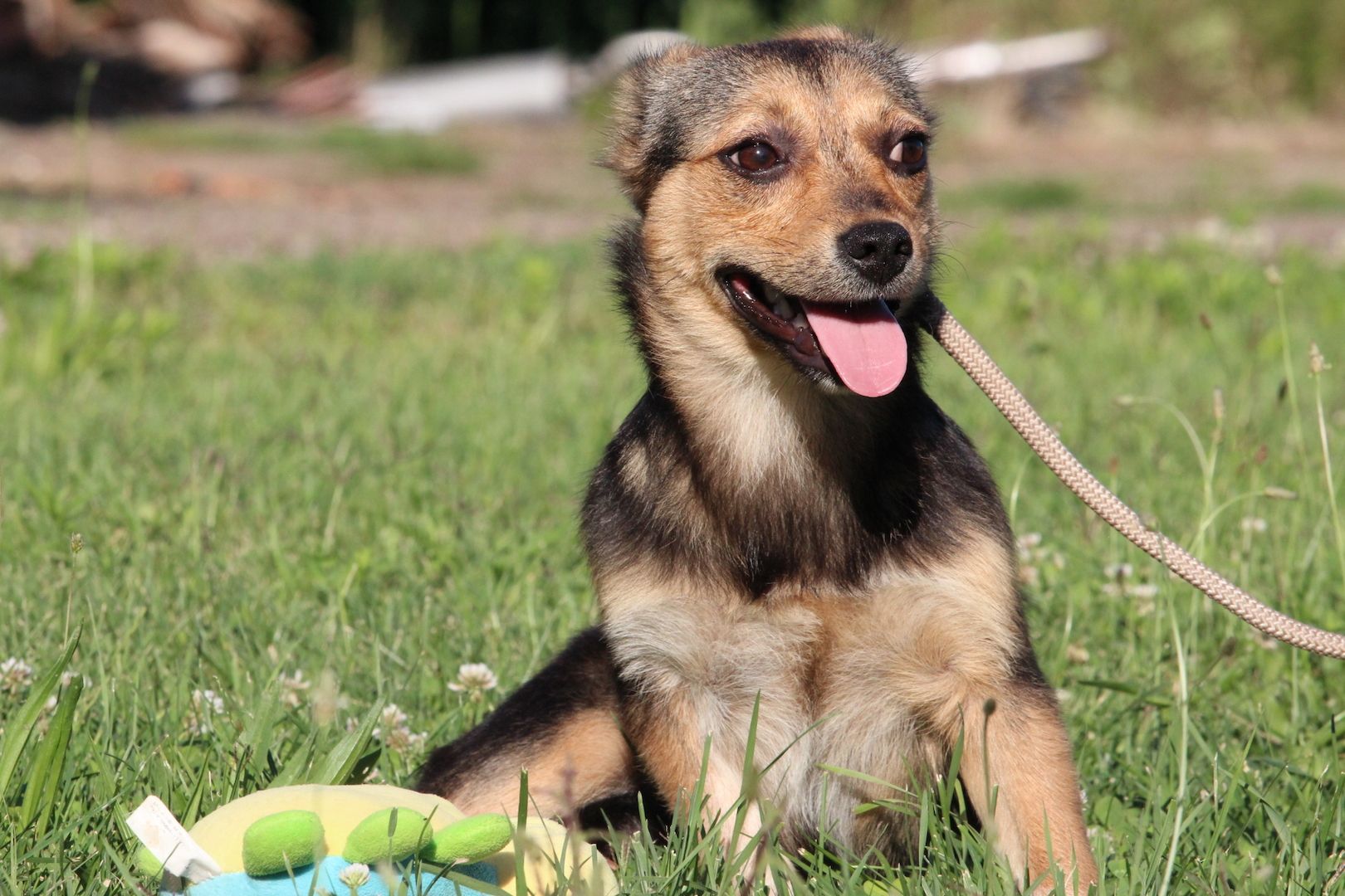 Lena unsere kleine Schönheit...