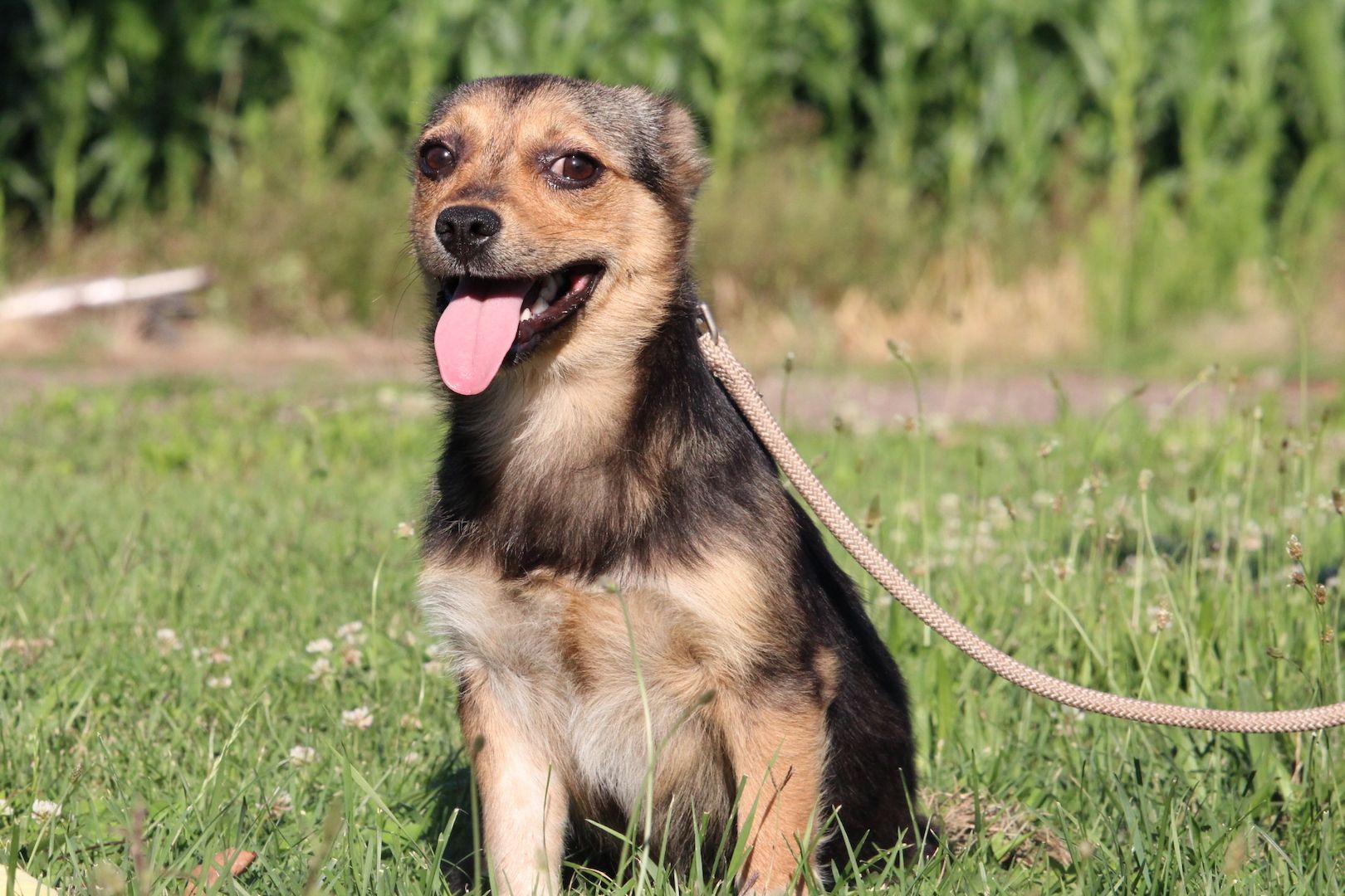 Lena unsere kleine Schönheit...