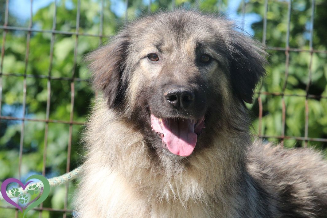 Arima sucht ihre Menschen...