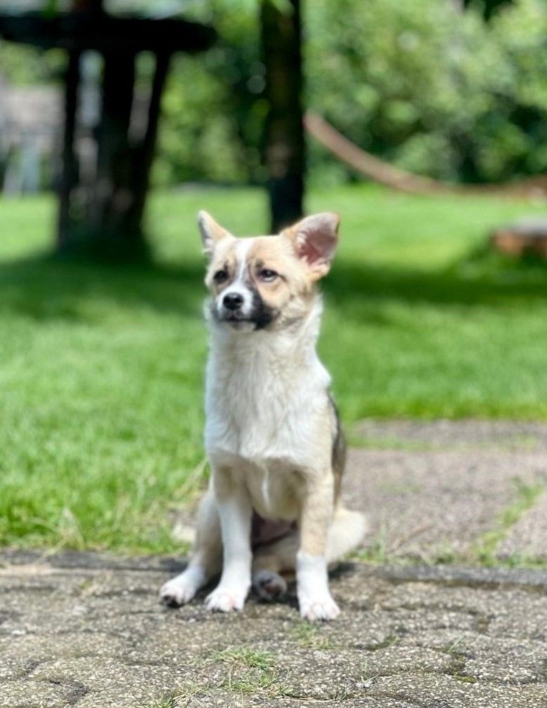 Schenkst du Avani ein zu Hause... Schenkst du Avani ein zu Hause...