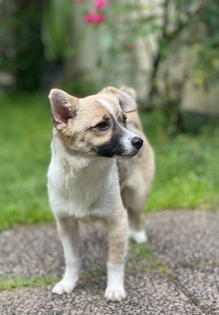 Schenkst du Avani ein zu Hause... Schenkst du Avani ein zu Hause...