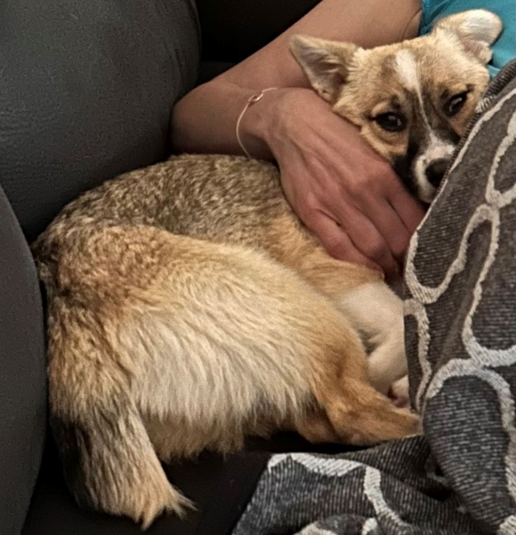 Schenkst du Avani ein zu Hause... Schenkst du Avani ein zu Hause...