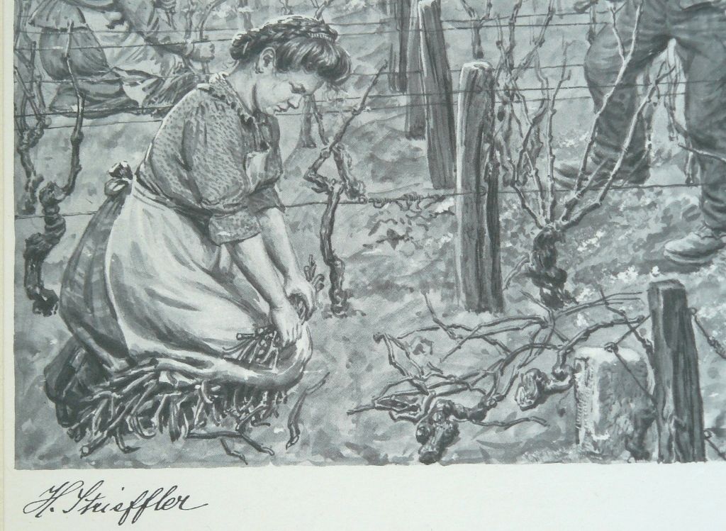 Strieffler Heinrich Rebenschneiden Grafik 42x32. B068